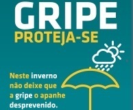Vacinação Contra a Gripe Vacinação Contra a Gripe